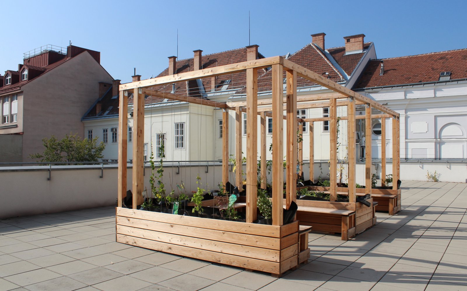 FO-Freiluftklasse auf der Dachterrasse(c)B-NK GmbH und Dipl.-Ing. Ralf Dopheide e.U.